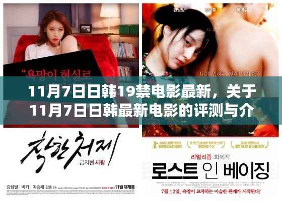 11月7日日韩最新电影评测与介绍,禁片揭秘