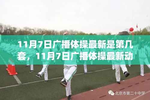11月7日广播体操最新动态,全新套数焕发活力