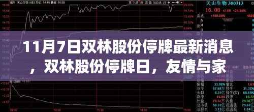 双林股份停牌日,友情与家庭的温暖时光,最新消息揭秘