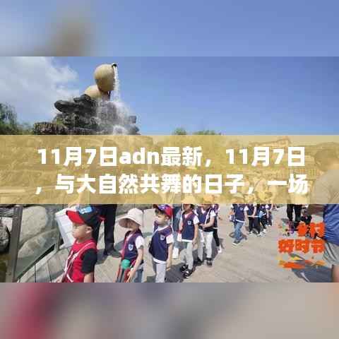 11月7日,与自然共舞的心灵之旅日