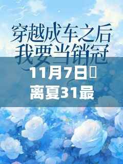 超越自我,追寻梦想的翅膀,姇离夏最新章节启示录(11月7日更新)