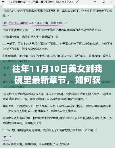 往年11月10日美女到我碗里最新章节获取指南,详细步骤解析