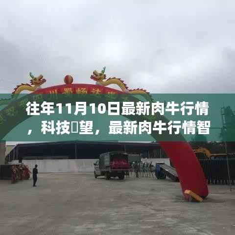 科技引领肉牛行情迈入智能时代,最新肉牛行情智能分析系统重磅发布