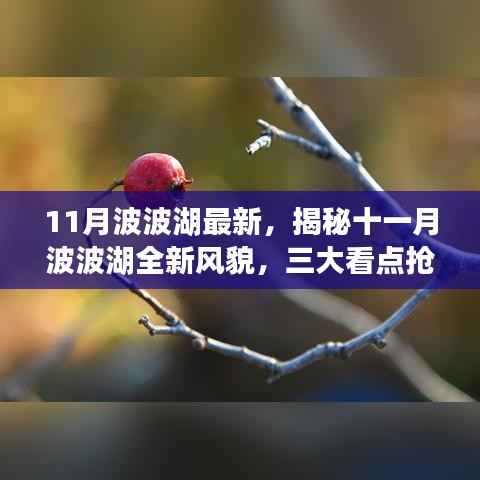 揭秘十一月波波湖全新风貌,三大看点抢先体验!