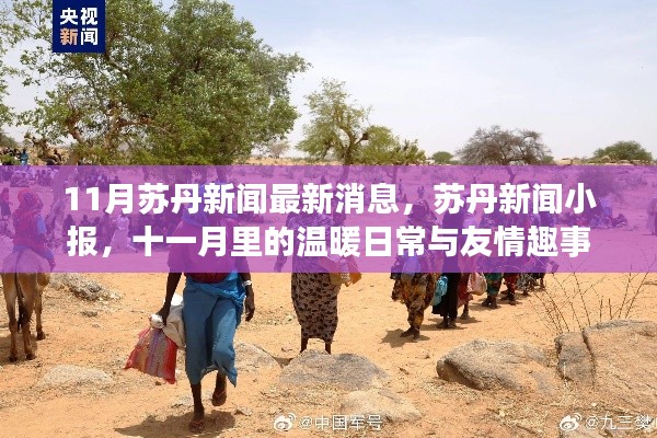 苏丹新闻最新动态,十一月日常与友情趣事小报