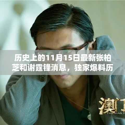 独家揭秘,张柏芝与谢霆锋的11月15日最新动态与历史回顾