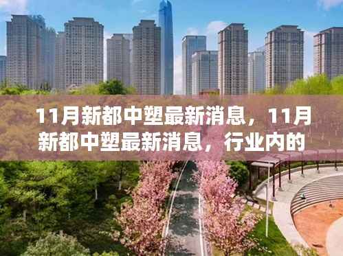 11月新都中塑最新消息,11月新都中塑最新消息,行业内的深度分析与观点碰撞