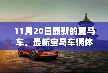 张牙舞爪 第17页