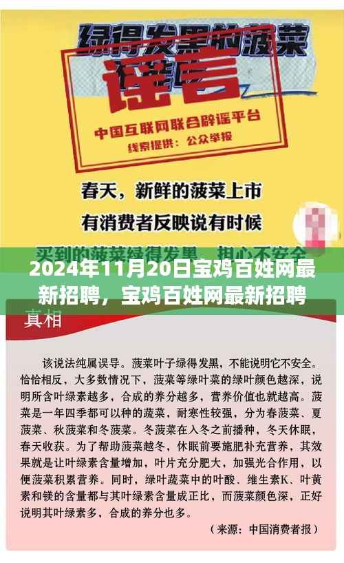 2024年11月20日宝鸡百姓网最新招聘,宝鸡百姓网最新招聘指南,如何高效参与应聘(初学者/进阶用户适用)