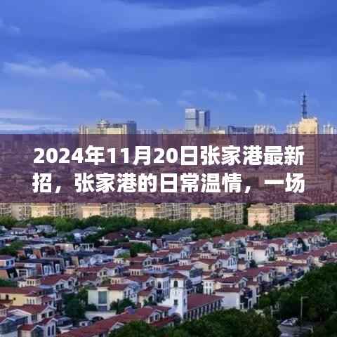 张家港招聘奇遇,温情日常与友情的绽放时刻(2024年11月20日)