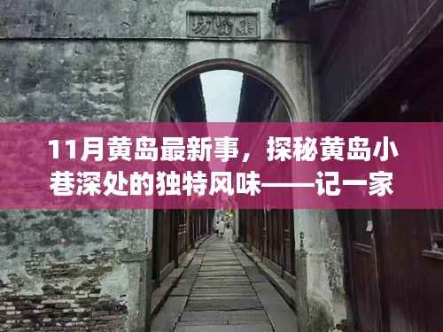 探秘黄岛小巷深处的独特风味,记一家隐藏在小巷中的特色小店的新鲜故事(11月最新报道)