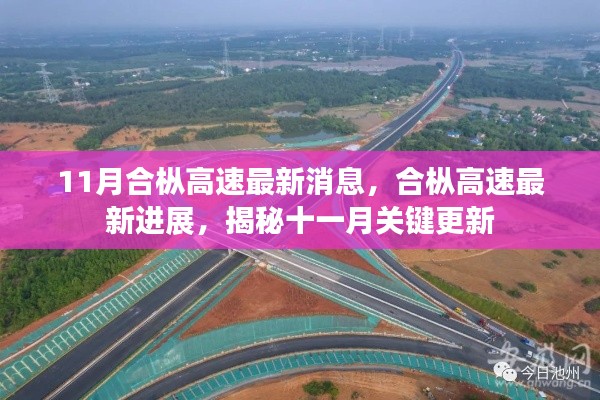 橘虞初梦 第3页