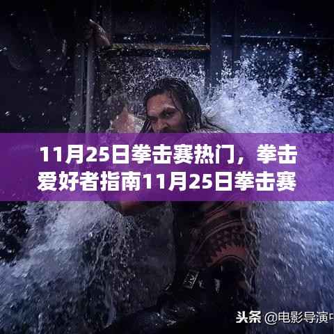 11月25日拳击赛热门指南,一步步成为赛场达人