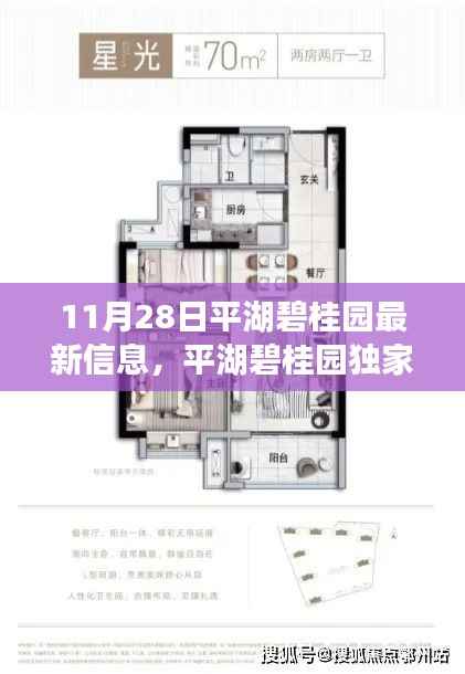 平湖碧桂园最新动态曝光，独家爆料揭秘最新信息