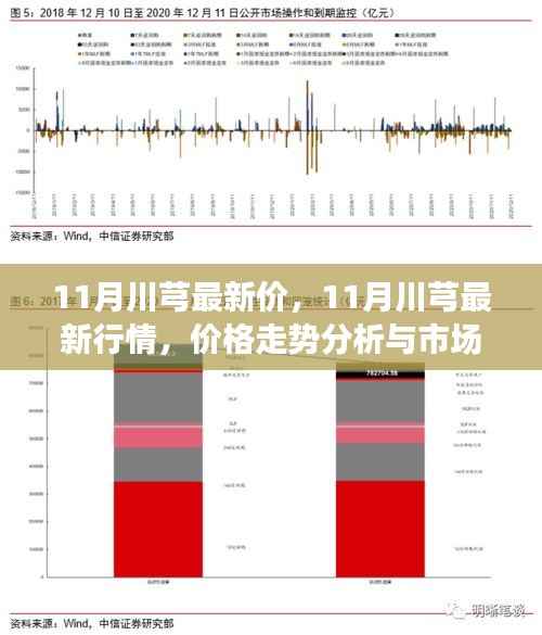 11月川芎最新价,11月川芎最新行情,价格走势分析与市场洞察