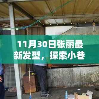 张丽新发型揭秘，小巷深处的特色小店探索之旅