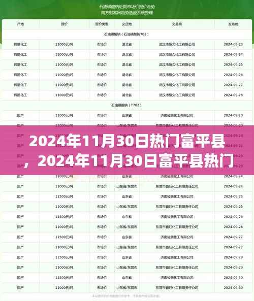 2024年11月30日热门富平县，2024年11月30日富平县热门探秘，繁荣背后的故事