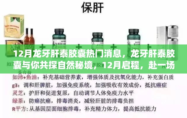 12月龙牙肝泰胶囊热门消息,龙牙肝泰胶囊与你共探自然秘境,12月启程,赴一场心灵的旅行