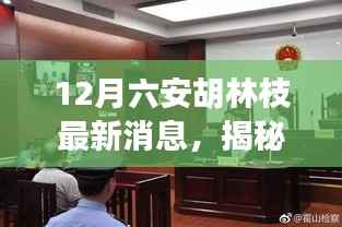 揭秘胡林枝最新动态，六安胡林枝消息全攻略（初学者与进阶指南）