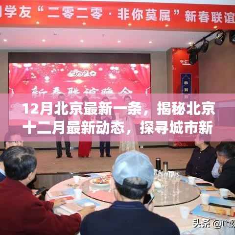 风驰电掣 第3页