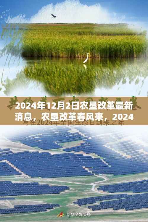 农垦改革最新动态，春风拂面，激发潜能与自信，展望2024年12月的新篇章