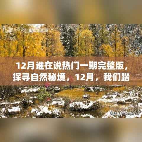 12月谁在说热门一期完整版,探寻自然秘境,12月,我们踏上寻找内心平静的旅程