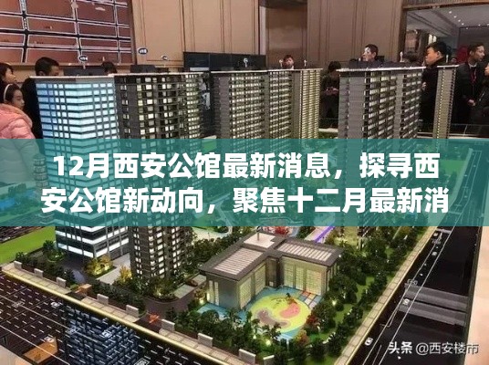 聚焦西安公馆最新动态，十二月消息与多元观点探寻
