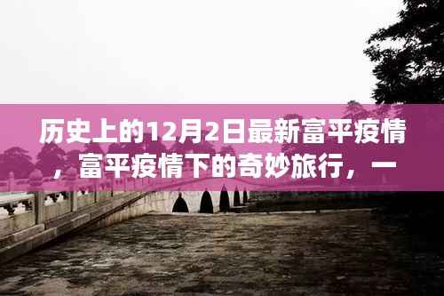 富平疫情下的自然之旅,12月2日的奇妙邂逅