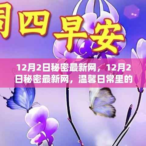 温馨日常里的快乐时光,揭秘秘密最新网