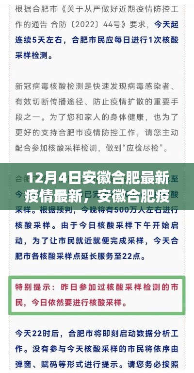 12月4日安徽合肥最新疫情最新,安徽合肥疫情现状解析,某某观点探讨与深度分析