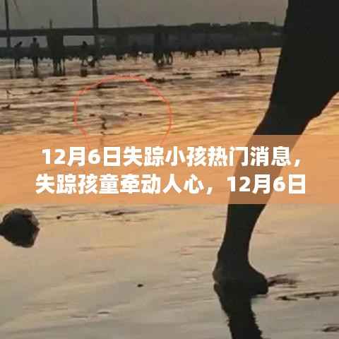 失踪孩童牵动人心,12月6日事件背景、进展与影响回顾