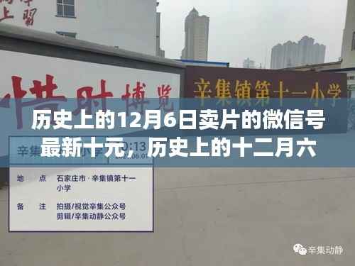 历史上的十二月六日,微信卖片新风尚,十元开启自然探索之旅