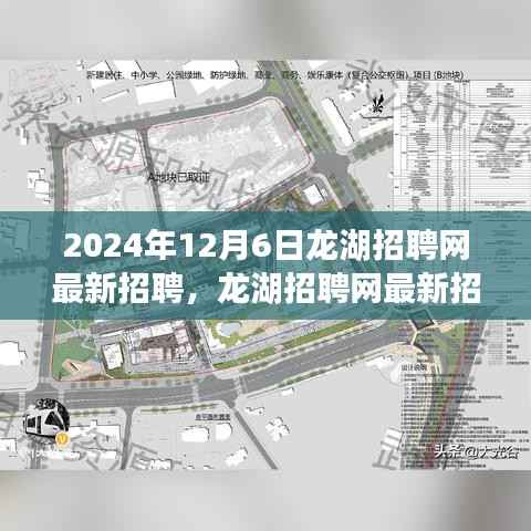 龙湖招聘网最新招聘日,梦想与友情的交汇点