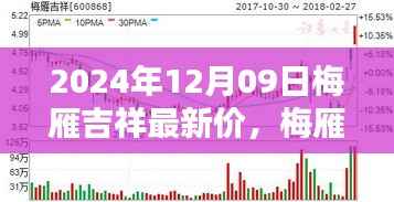 梅雁吉祥科技新品发布,触摸未来,极致生活体验新篇章(2024年12月09日最新价)