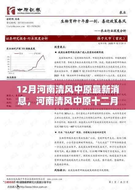 河南清风中原十二月最新动态深度评测与消息速递