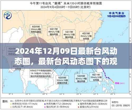 聚焦台风动态,最新观察与影响分析(2024年台风动态图下的观察与思考)