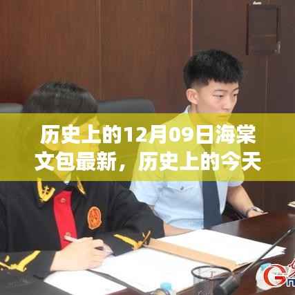 海棠文包新篇章,历史变迁下的自信与成就感学习历程回顾与成就展示