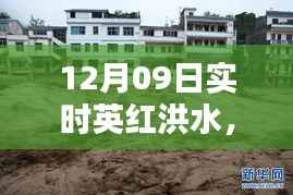 12月09日英红洪水实时状况解析与观点阐述