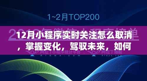 如何取消12月小程序实时关注并汲取成长力量，掌握变化，驾驭未来
