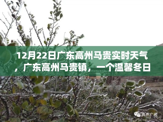 广东高州马贵镇的温馨冬日,趣事与友情的交织,实时天气播报