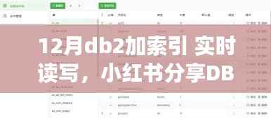 揭秘DB2数据库高效加索引,实时读写秘籍大解密!小红书分享指南!