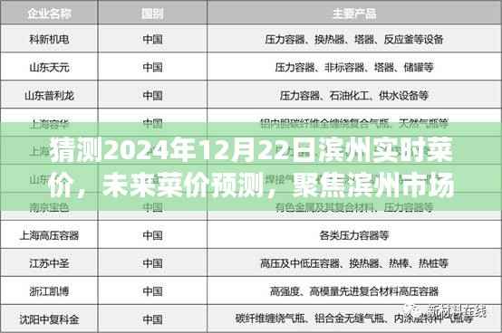 聚焦滨州市场,解析未来菜价走势,预测滨州实时菜价(以2024年12月22日为例)