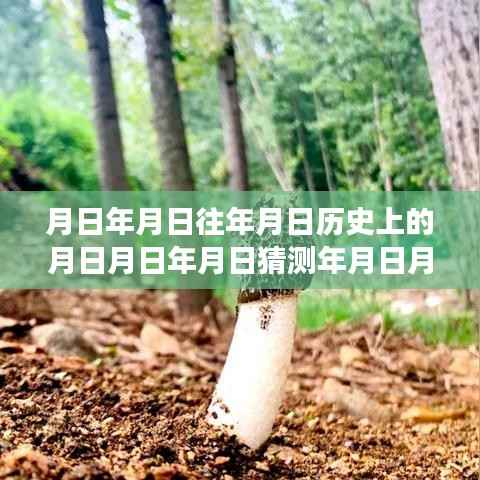 时光探索,实时显示时间的相机与日月年岁的历史交织