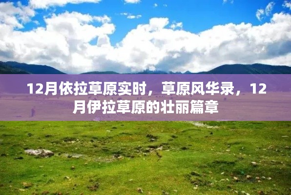 百鸟归巢 第3页