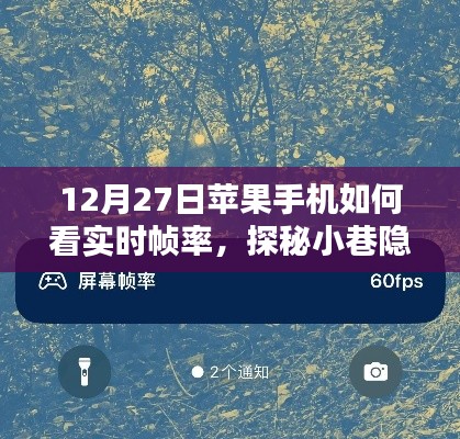 探秘小巷隐世小店,揭秘苹果手机实时帧率查看指南(附教程)