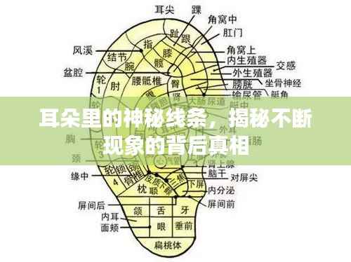 耳朵里的神秘线条,揭秘不断现象的背后真相