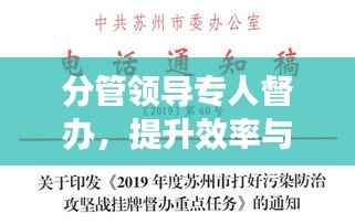 分管领导专人督办，提升效率与确保任务完成的秘诀！