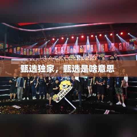 甄选独家,甄选是啥意思