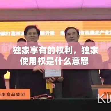 独家享有的权利,独家使用权是什么意思