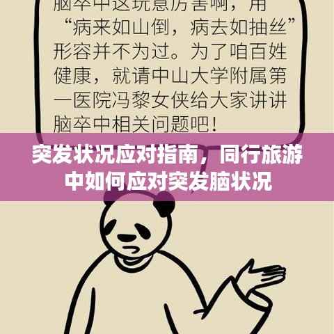 突发状况应对指南，同行旅游中如何应对突发脑状况